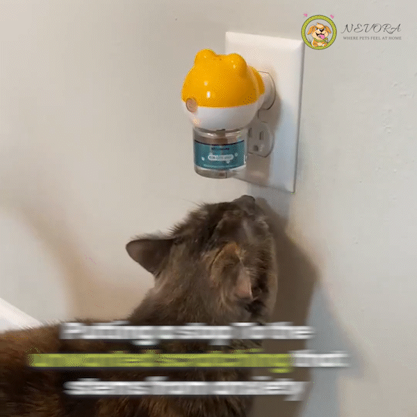Nevora™ - Cat Calming Kit