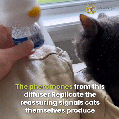 Nevora™ - Cat Calming Kit
