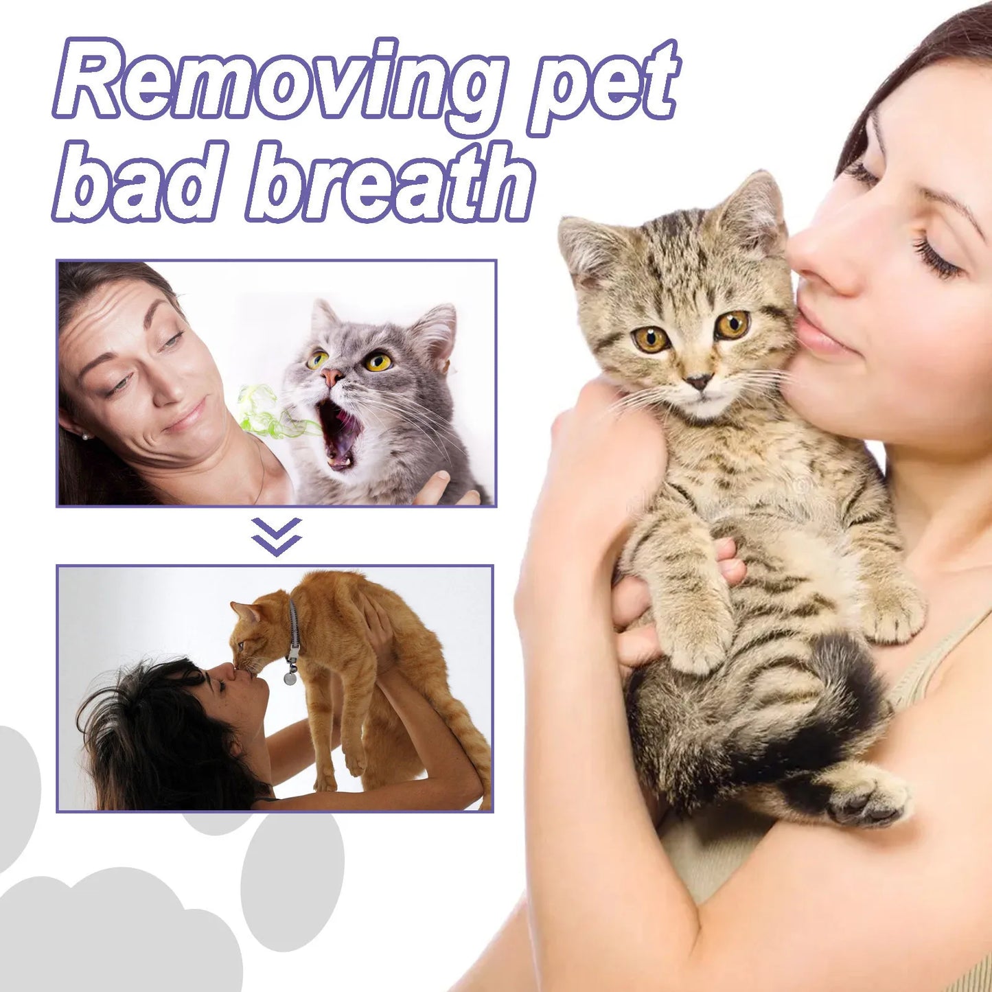 Pet Oral Repair Gel