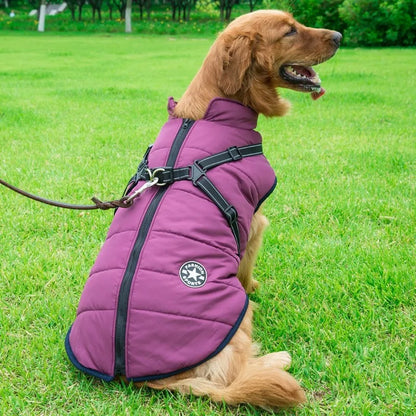 Nevora™ - Dog Winter Coat